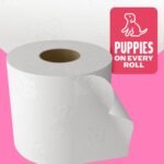 Andrex Family Soft Toilet Tissue 45 Rolls (Previously Andrex Gentle Clean) Gentle on your Family’s skin– Bulk Pack of 45 Toilet Rolls, FSC Certified - Image 3